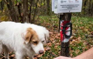 De.Co suoli tartufigeni Murisengo Monferrato